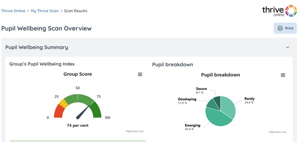 Detailed summary profile screenshot